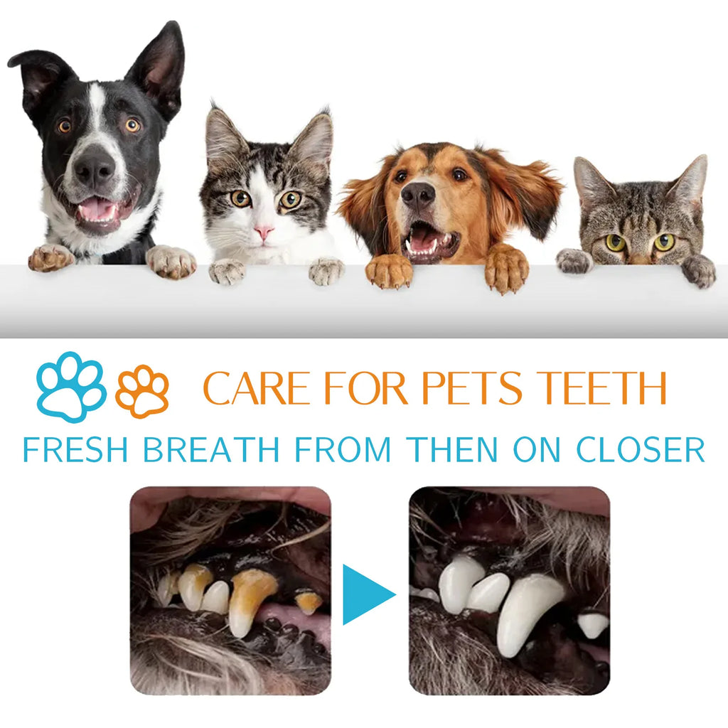 Dog Teeth Finger Wipes for Oral Cleaning