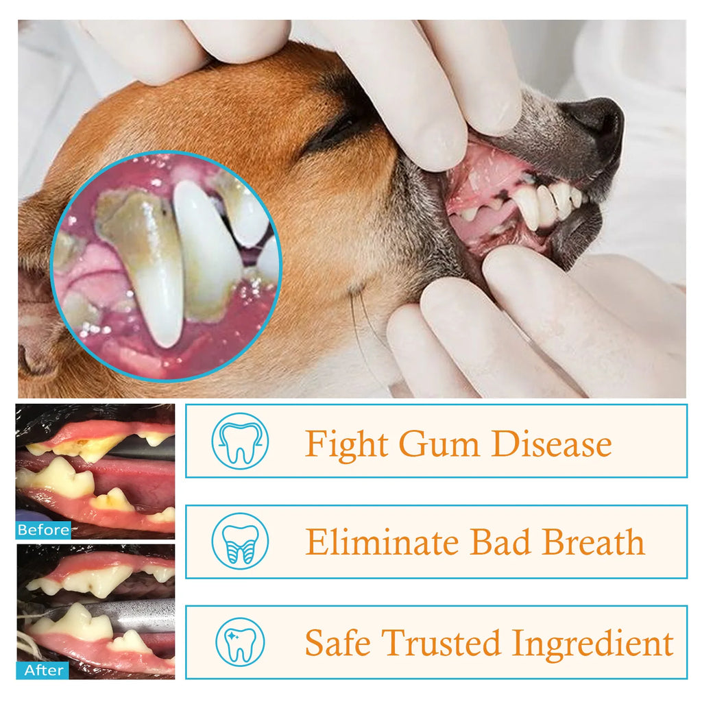 Dog Teeth Finger Wipes for Oral Cleaning